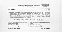 Boeremia exigua image